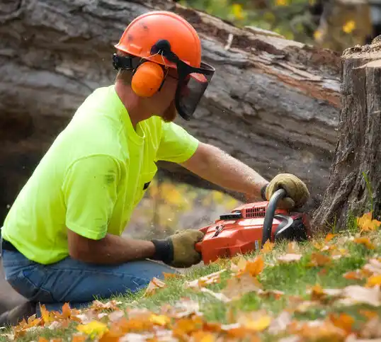 tree services Greensboro